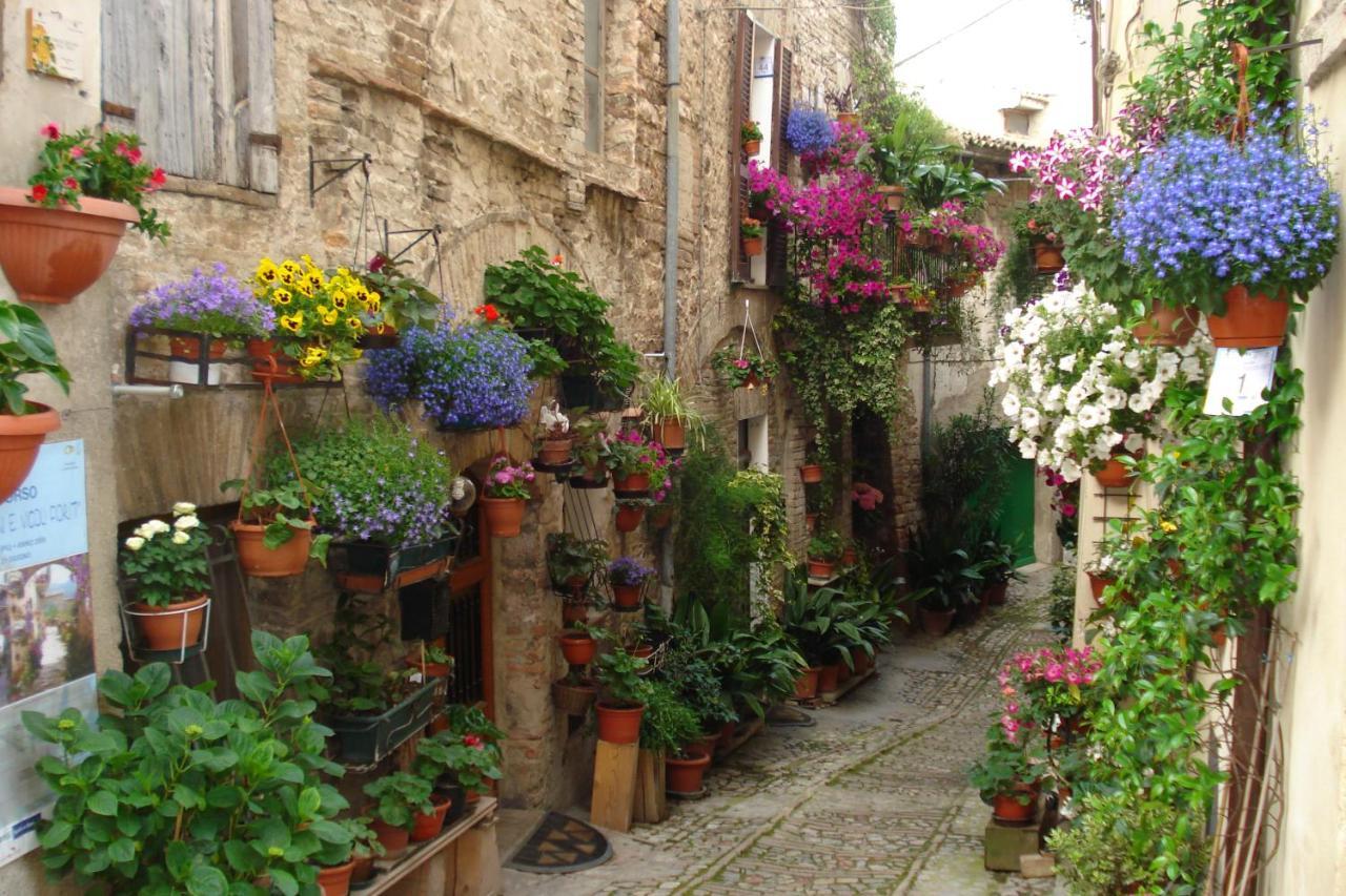 B&B Il Sognatore Perugia Ngoại thất bức ảnh
