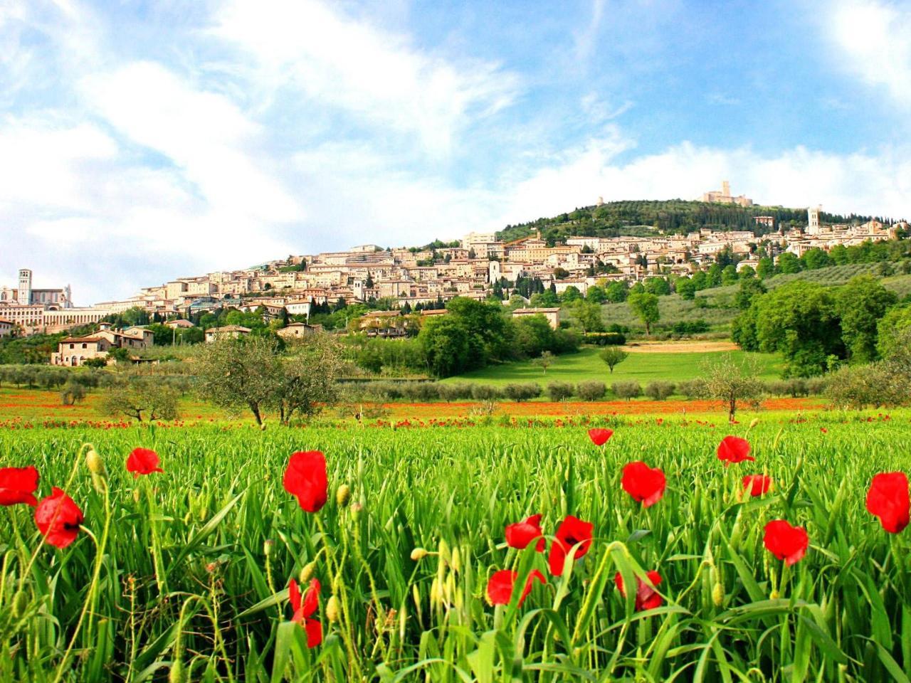 B&B Il Sognatore Perugia Ngoại thất bức ảnh